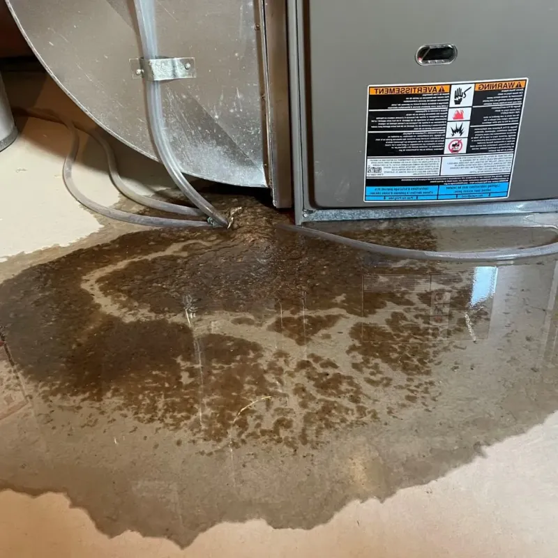 Pipe Burst and Leak Restoration in Campton, KY
