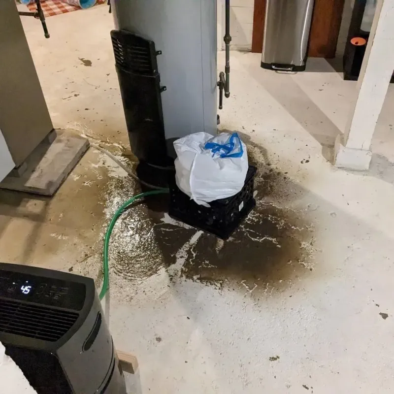 Sewage Backup Cleanup Service in Campton, KY